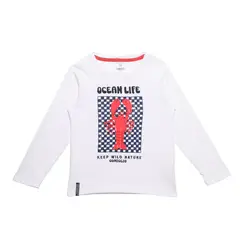 CONIGLIO - Polo Niño Algodón