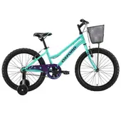 Bicicleta Infantil Aro 20