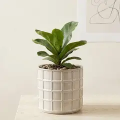 MICA - Maceta Cerámica Blanca 16cm
