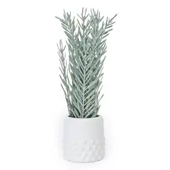 MICA - Planta Decorativa 22x17x17cm