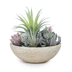 MICA - Plantas Suculentas 18x15cm