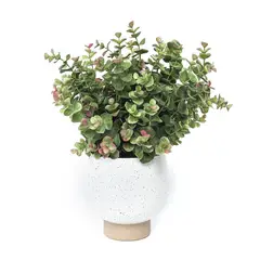 MICA - Planta Eucalipto 25x35cm