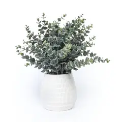 MICA - Planta Eucalipto 24x24cm