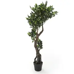 MICA - Planta Ficus 190cm