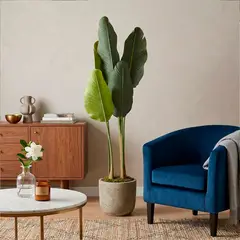 MICA - Planta Banano 125cm