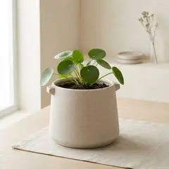 MICA - Maceta Cerámica Blanca 14cm