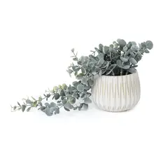 MICA - Planta Eucalipto Colgante 78cm