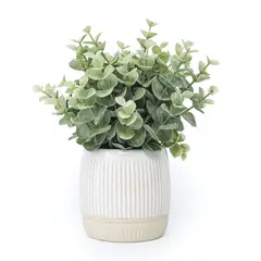 MICA - Planta Eucalipto 10x22cm