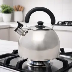 MICA - Tetera Acero Inoxidable 4 Litros