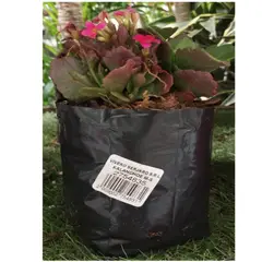 GENERICO - Natural CT1518