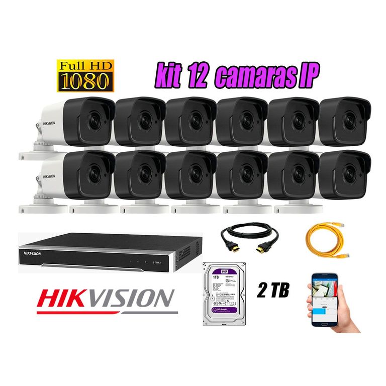Cámara de Seguridad Ip Poe Full HD 1080P Exterior Kit 12 Disco 2TB WD Purpura