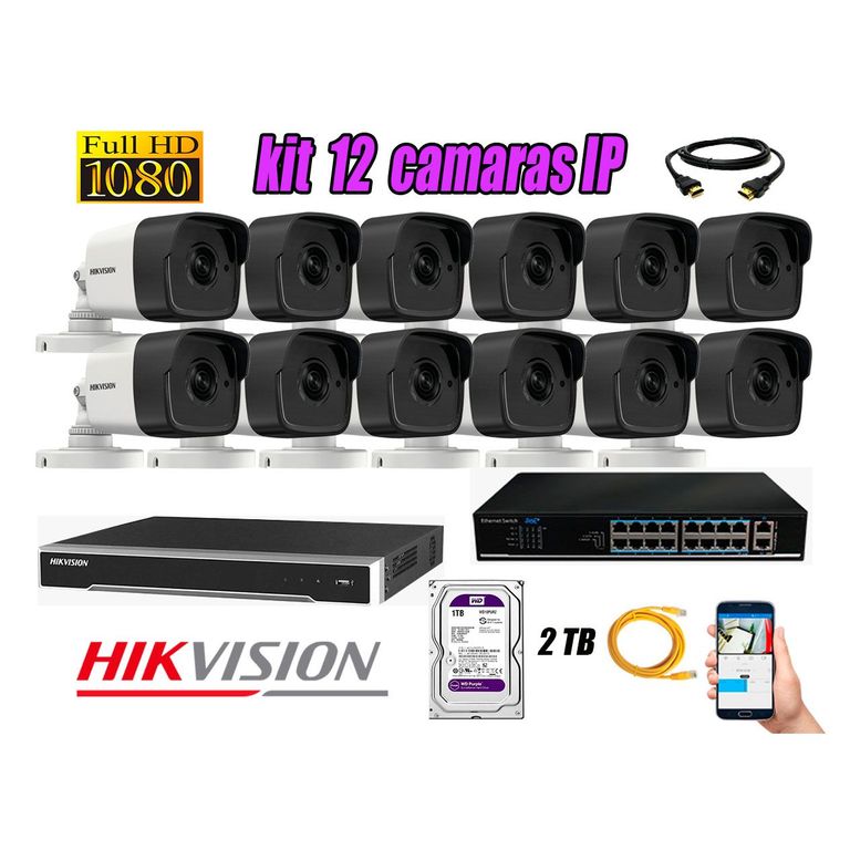 Camara de Seguridad Ip Full HD 1080P Exterior Kit 12 Disco 2TB WD Purpura