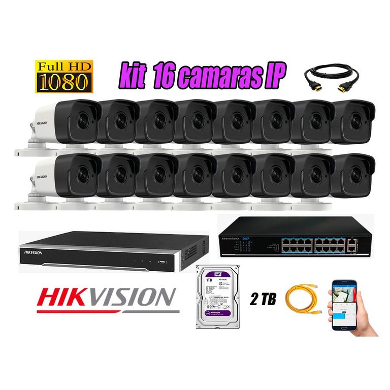 Camara de Seguridad Ip Full HD 1080P Exterior Kit 16 Disco 2TB WD Purpura