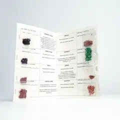 GENERICO - Kit de 8 Semillas para Jardín