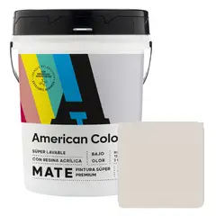 AMERICAN COLORS - Pintura Blanco Ostra 4GL