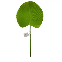 GENERICO - Hoja de Abanico Verde