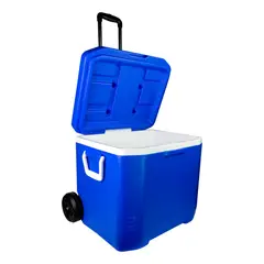 BASA - Cooler Azul 60 L