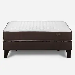 ROSEN - Cama Ergo T New 2 Plazas + Colchón