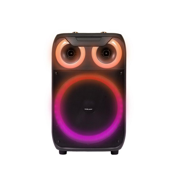 Parlante Party Karaoke 800W Led Erwin