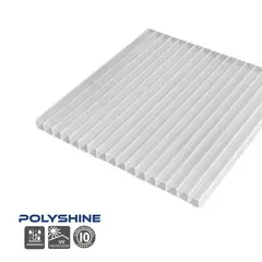 POLYARQ - Techo de Policarbonato Alveolar Ice 2.10m x 5.80m x 5.5mm Polyshine