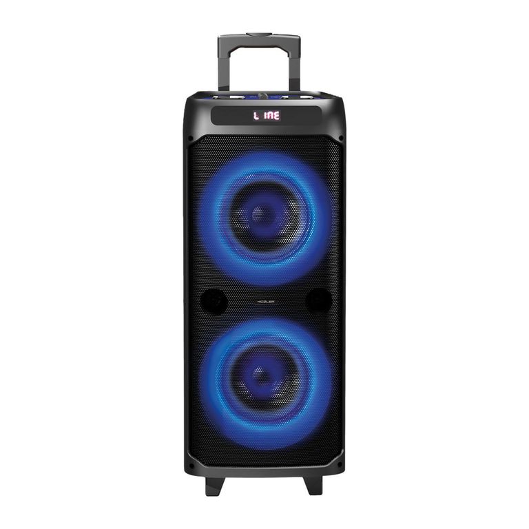 Parlante Karaoke Helgue 1600W