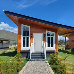 PAMA - Puerta de madera Principal Pino Mach Nat Bisel California Blanca 45x850x2070