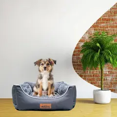 PETIZOOS - Cama Cuadrada Gris Premium 20x58x67cm