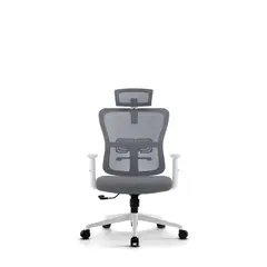 ZIYAZ - Silla Ejecutiva Ergonómica Laterne Gris