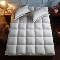 JUST HOME COLLECTION - Plumón Pluma 1.5 Plazas Blanco