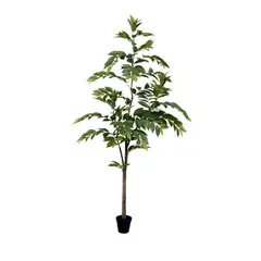 JUST HOME COLLECTION - Planta Artif Cendrela 210cm