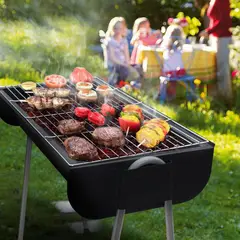 MR BEEF - Parrilla a Carbón 62x31x54