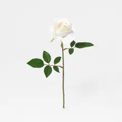 JUST HOME COLLECTION - Vara de Flor Artificial Rosa Blanca 48cm