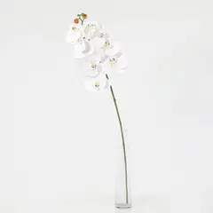 JUST HOME COLLECTION - Vara de Flor Artificial Orquidea Blanca 78cm
