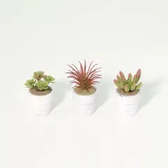 JUST HOME COLLECTION - Set de 3 Suculentas Artificiales 7cm
