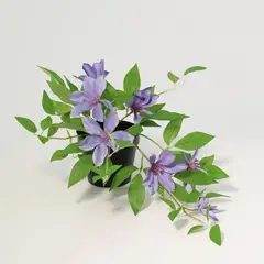 JUST HOME COLLECTION - Planta Artificial Clematis Violeta 23cm