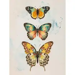 JUST HOME COLLECTION - Cuadro Canvas Mariposa 2 60x80cm