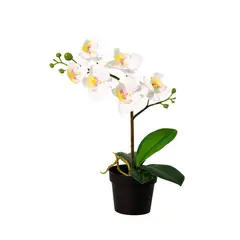 JUST HOME COLLECTION - Planta Artificial Orquídea Color Surtido 34cm