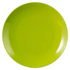 JUST HOME COLLECTION - Plato Verde 26.5 cm