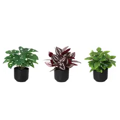 JUST HOME COLLECTION - Planta Artificial 17 cm Verde