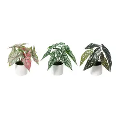 JUST HOME COLLECTION - Planta Artificial 25 cm Verde y Blanco