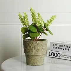 JUST HOME COLLECTION - Macetero Verde Claro 11cm