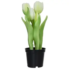 JUST HOME COLLECTION - TULIPAN BLANCO 26 CM