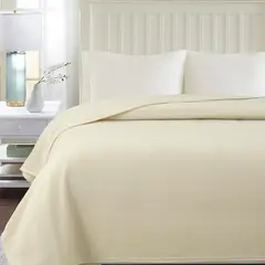 JUST HOME COLLECTION - Frazada Polar 2 Plazas Beige