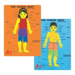 ARTI CREATIVO - Juego Didáctico Encaje Cuerpo Humano