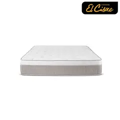 EL CISNE - Dinamic 2 Plazas