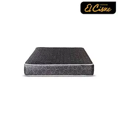 EL CISNE - Basic 1 Plaza