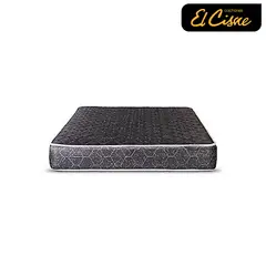 EL CISNE - Basic 1.5 Plazas