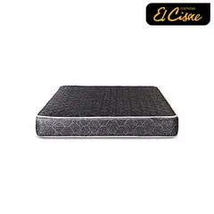 EL CISNE - Basic 2 Plazas