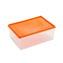 REY - Caja Conservadora Nro 5