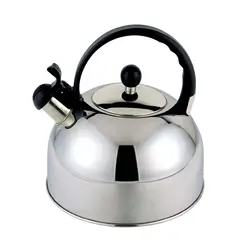 CASA JOVEN - Tetera Inoxidable 3.5 L Precio Uno